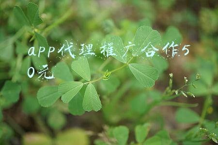 app代理推广平台(人才招聘网｜求职找工作靠谱平台｜找工作的网站)
