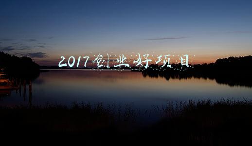 2017创业好项目
