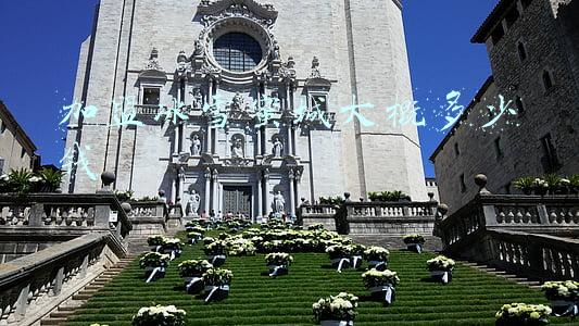加盟蜜雪冰城大概多少钱(「官方」蜜雪冰城加盟费是多少？清晰明了的费用明细大公开)