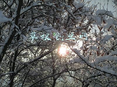 草根创业网