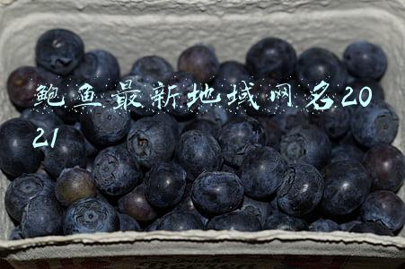 鲍鱼最新地域网名查询(10家新店“虎”力全开，十全十美迎虎年)