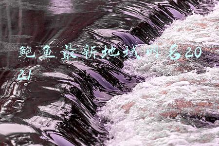 鲍鱼最新地域网名2021在线观看(节日市场抢先看)