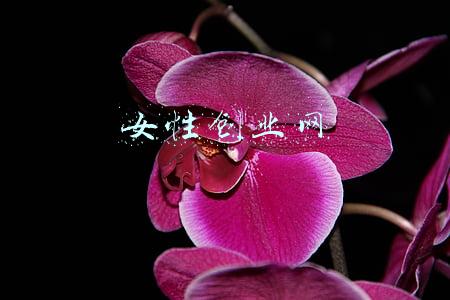 女性情感网(线上交友赌博，38名女性落入“杀猪盘”陷阱)