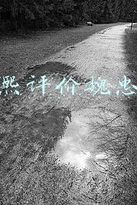 康熙的忠臣有哪些(康熙的第九子，在九子夺嫡中忠诚一牛人而胜出，他继位后亮剑了)