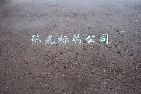 陈光标的公司