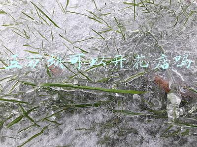 五万块能开什么店(案例：5万本金创业当老板，1年赚17万的低成本创业小故事)