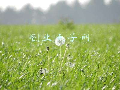 创业点子网易视界(自主创业妙点子很重要 扮个财神生意就做活了)