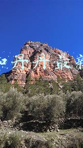 鹏鹏和丹丹最新视频