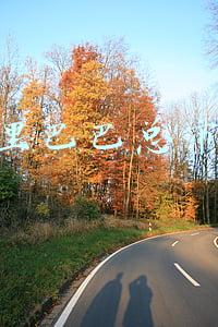 阿里巴巴总市值