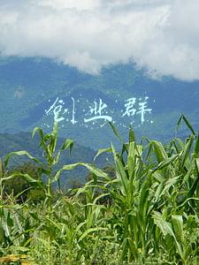 微信创业群(新春走基层｜在一个县创新创业微信群里看到乡村振兴未来)