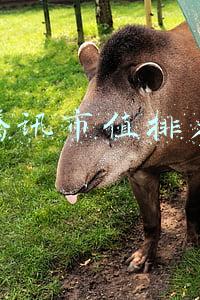 腾讯市值排名 腾讯市值排名