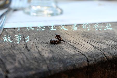 一个理想主义者的创业故事3