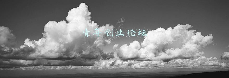 青年创业论坛