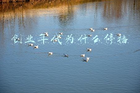 创业年代为什么停播