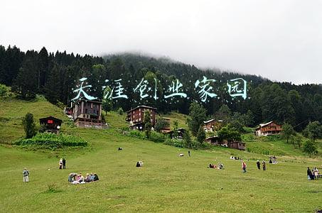天涯创业家园精华帖(中国知识分子的出走与回归，唐天涯独钓图构建的当代精神家园)