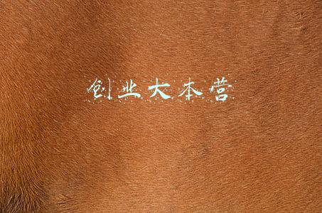 创业大本营第三季(福建将评选第三批省级创业孵化示范基地 经认定可获50万元奖补)