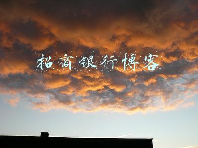 招商银行(招商银行：上半年实现净利611.5亿元 持续打磨“银行3.0”模式)