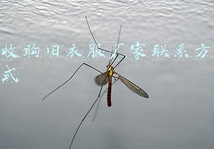 私人收购古玩联系方式(北京成立文物鉴定公司转让信息)