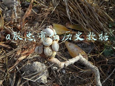 a股总市值历史数据