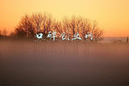 口碑创业网