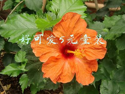 5元童装厂家批发(四季青年末清仓 网曝5元一件！太疯狂！)