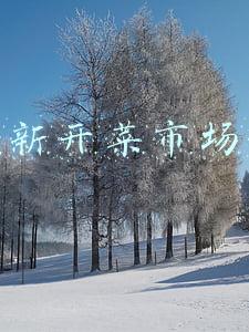 北京新开菜市场招商