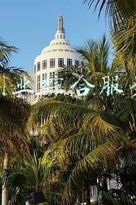 青年创业综合服务平台