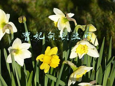 曹妃甸企业(河北唐山曹妃甸：23项向海发展任务有序推进)