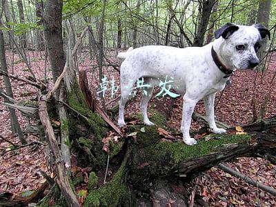 韩洪雷简介(贵州民族大学青年师生：弘扬革命精神 为祖国贡献青春力量)