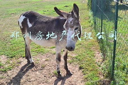 郑州房地产企业(2021年1-9月郑州房地产企业销售业绩TOP20)