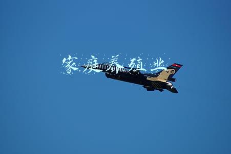 家庭养殖业