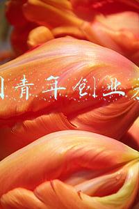 中国青年创业基金