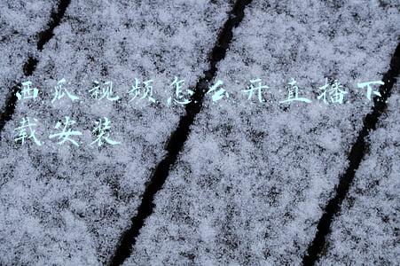 西瓜视频怎么开直播下载安装
