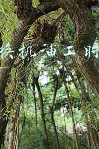 4s店换机油工时费多少