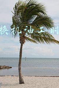 4s店工时费怎么算(大众4s店工时费怎么算)