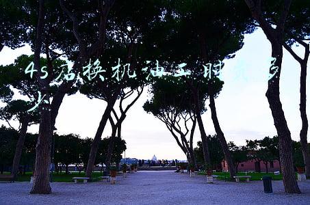 宝马4s店工时费价格表；宝马4s店工时费多少钱