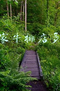 牛排一般多少钱(牛排一般多少钱一份)