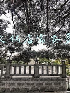 投资火锅店要多少钱-火锅投资大概要多少钱