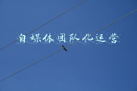 自媒体团队化运营
