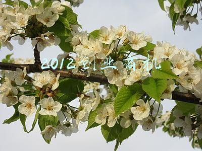 2021年商机(直播时代结束，2021年将迎来3个新商机，实体企业是最大赢家)