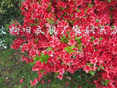 哪里有回收旧衣服的厂家联系方式(旧衣服回收渠道怎么联系)