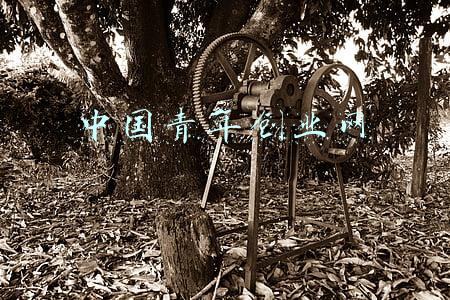 中国青年创业网网址(青年创业网：项目招商需要用什么方式？)