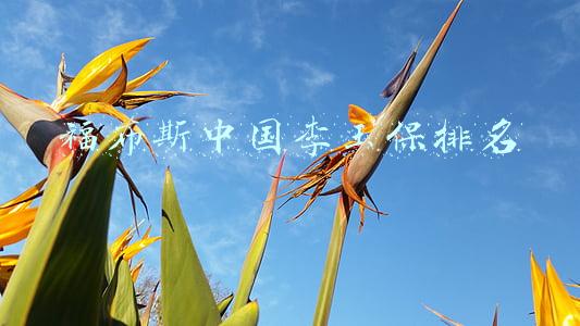 福布斯中国李玉保排名