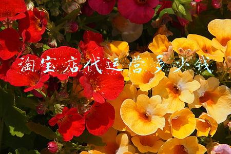 淘宝代运营1个月多少钱：淘宝店代运营多少钱一个月