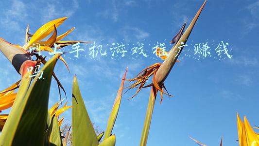 网上手机游戏推广赚钱吗