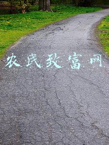 农民致富网红(95后“村姑”靠直播插秧当上网红，种地有什么好看的？)