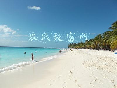 农民致富网