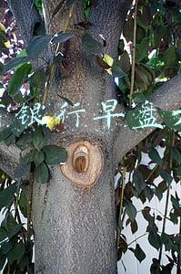 招商银行早盘大跌