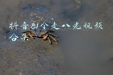 抖音81个走八光视频合集7028在线观看(34岁中国科学家研发“无腿”软体机器人，转向跳跃每秒138.4°)