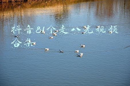 光遇搞笑视频合集(光遇：病娇体魔怔了，嘴上天天说“死”，身边的人全给咒了？)